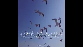 D8 AD D8 A7 D9 84 D8 A7 D8 AA D9 88 D8 A7 D8 AA D8 B3 D8 A7 D8 A8 D9 82 D8 B1 D8 A2 D9 86 D9 83 