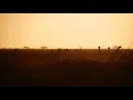 Manqo - Breaking Hearts (Black Coffee Remix)
