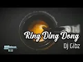 Download Lagu Ring Ding Dong (Dj Gibz Remix) | TikTok Viral Remix