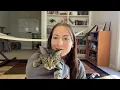 Buspirone Buspar 1 year update