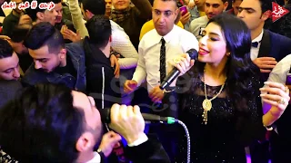 دويتو جاحد يارا واحمد عامر وجننو عبسلام بحضور فنانين مصر فرحه محمد الجمل دندنها