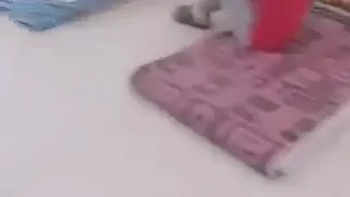 دول اللي رموني في الغربه وحكمو عليا بالإعدام مصر مبقتش غاليه  ولا ليها في الغربه حبيب دندنها