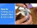 How to put on a Seresto Flea and Tick collar for dogs and cats