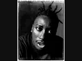 Old Dirty Bastard - Baby I Got Your Money