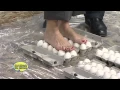 Download Lagu Walking on Eggs - Cool Science Experiment