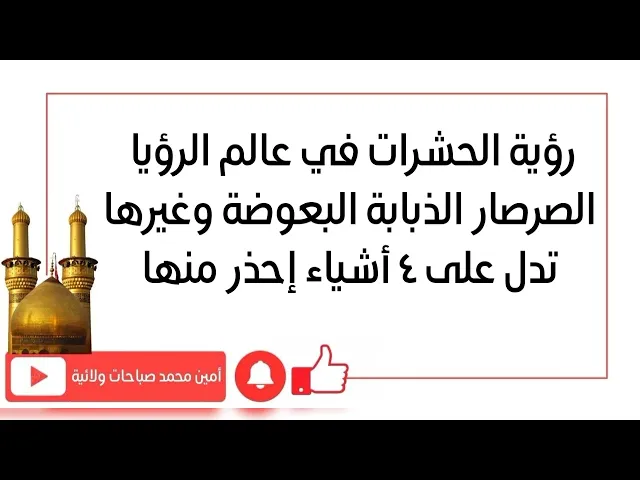 ⁣رؤية الحشرات في عالم الرؤيا الصرصار والذبابة والبعوضة وغيرها تدل على ٤ أشياء إحذر منها