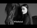Download Lagu ADIK - Whirlwind