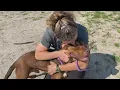 Adopt-a-pet Frank Smooch at Pound Buddies in Muskegon