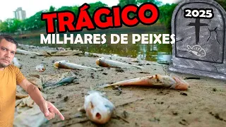 TRAGÉDIA Ambiental Mortandade de Peixes No Rio dos Sinos 2025