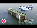 Download Lagu GIMANA IKAN NGGAK CEPAT HABIS, Ini Kapal Ikan Terbesar di Dunia Milik China..