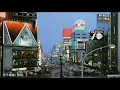 村下孝蔵 ／ 初恋  (1983年)