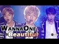 Download Lagu Wanna One - Beautiful, 워너원 - Beautiful @2017 MBC Music Festival