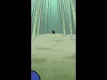 Download Lagu (Officieel) PokéMinutes｜Ditto's Ninja-bewegingen