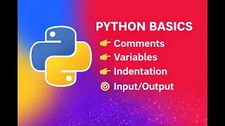 Python Basics Comments Variables Indentation