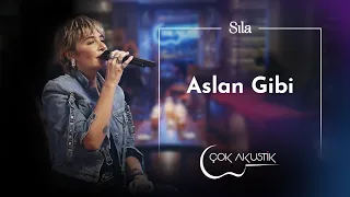 Sıla Aslan Gibi 
