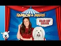 Download Lagu Samson \u0026 Marie Lyrics: Naar het circus