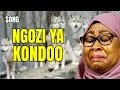 Lagu WIMBO: Kumbe Ni MBWA Mwitu! Samia Achia Tanzania!