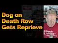 Dog on Death Row Gets Reprieve