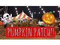 PUMPKIN PATCH Oct 27 2015