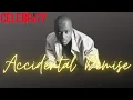 Accidental Demise - The Lamont Bentley Story