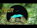 MASTERAN PALING DI CARI
