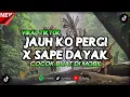 Lagu DJ JAUH KO PERGI X SAPE DAYAK MENGKANE STYLE VIRAL TIKTOK TERBARU !!