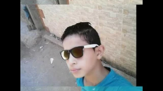 ابن الباشا باشا 