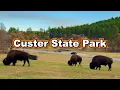 Best Things to do at Custer State Park ULTIMATE Black Hills Travel Guide