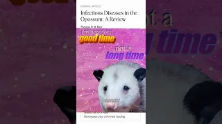 The Opossum Body Temperature and Rabies Myth