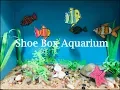 Shoe Box Aquarium Aquarium for School Project Diy 3D CRAFT