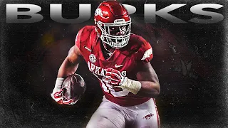 Treylon Burks Arkansas Highlights
