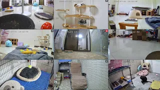                                                                                  دندنها