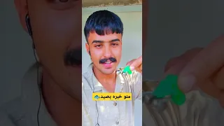 المن يستخدمون الجرس بصيد 