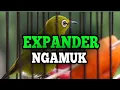 Lagu PLECI ISIAN EXPANDER NAGAMUK GACOR