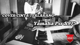 Download CINTA TERLARANG - Cover (non kendang non overtone) Yamaha Psr S975 AR_Pro MP3