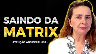 🔴Vida Plena fora da Matrix🔴 Estoicismo| Alegoria da Caverna| Plena Atenção - Lúcia Helena Galvão