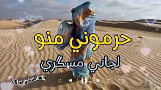 أجمل أغنية موريتانية 2023 حرموني منو لجاني مسكري إبداع ماشالله 