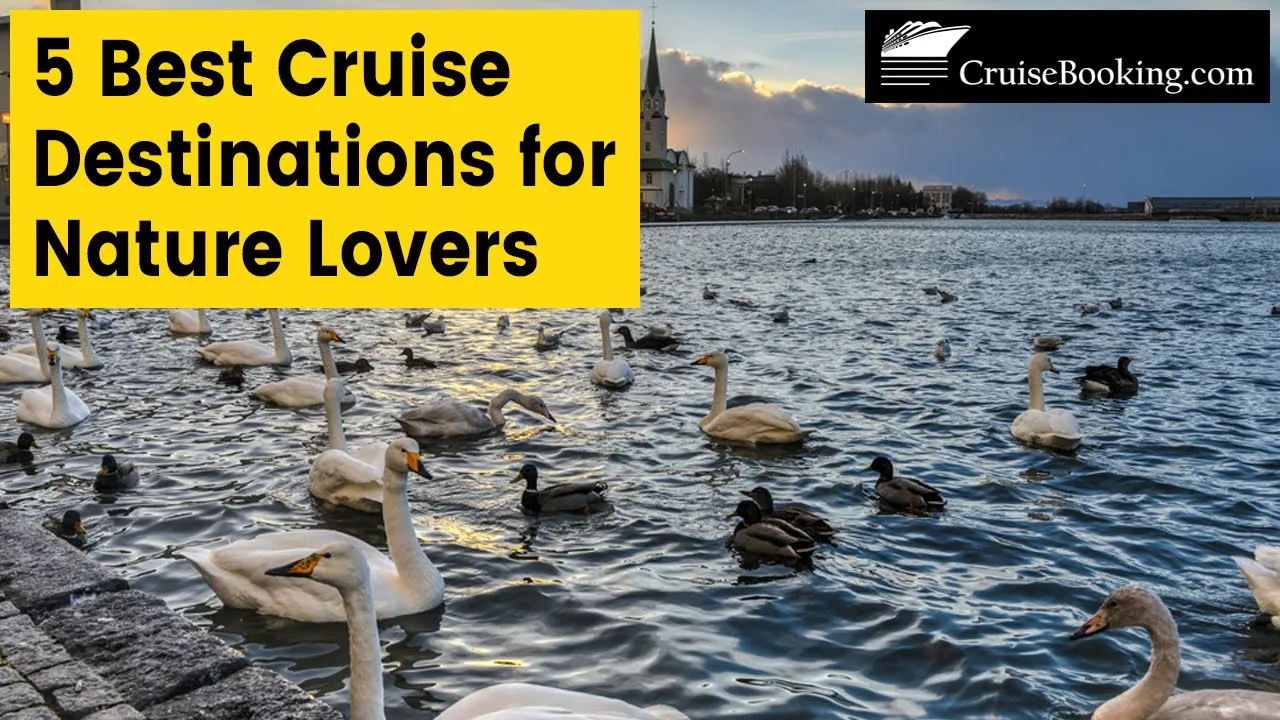 5 Best Cruise Destinations for Nature Lovers | CruiseBooking.com