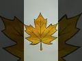 maple leaf