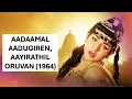 Lagu Aadaamal Aadugiren, Aayirathil Oruvan (1964)