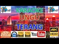 Download Lagu KARAOKE UNGU - 'Terang' M/V Karaoke UHD 4K Original ter_jernih