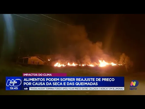 Impactos climáticos: seca e queimadas podem fazer alimentos ficarem mais caros
