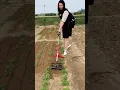 Download Lagu A woman uses a portable mini tiller to cultivate the soil in a farm field MP3