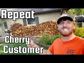 REPEAT CHERRY CUSTOMER CHERRY BOMB