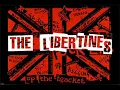 The Libertines - Don't Look Back Into Sun (with lyrics in description)