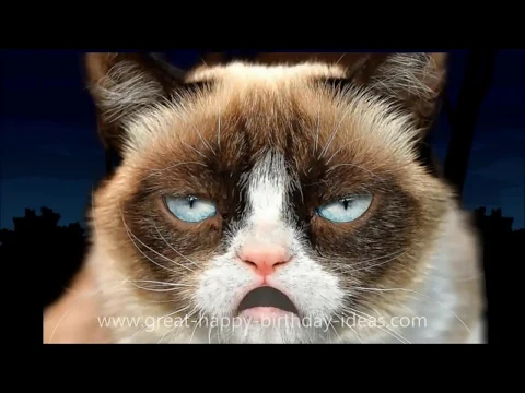 Download MP3 GRUMPY CAT HAPPY BIRTHDAY SONG (TOO FUNNY)