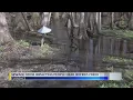 Florence leaders preparing to spend millions on Jeffries Creek sewage problems