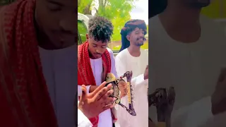 اوتار الرتاجه كرم الله بخيت 