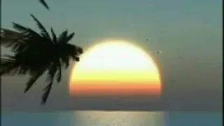 هانى شاكر  يا خلى القلب دندنها