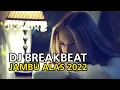 Download Lagu DJ Breakbeat Jambu Alas Terbaru 2022 Full Bass